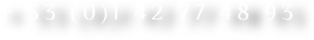 + 33 (0)1 42 77 48 93