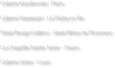 Galerie Koralewski - Paris 

Galerie Mammuti - La Flotte en Ré  

Point Rouge Gallery - Saint Rémy de Provence  

La Chapelle Sainte Anne - Tours  

Galerie Ories - Lyon 