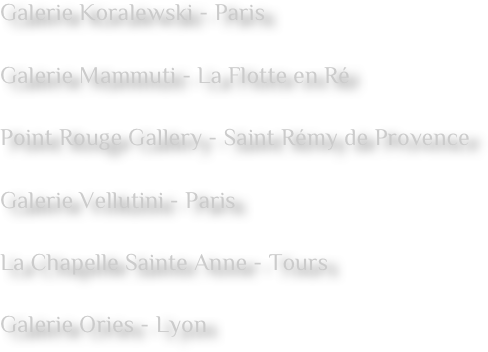 Galerie Koralewski - Paris 

Galerie Mammuti - La Flotte en Ré  

Point Rouge Gallery - Saint Rémy de Provence  

Galerie Vellutini - Paris

La Chapelle Sainte Anne - Tours  

Galerie Ories - Lyon 