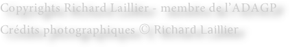 Copyrights Richard Laillier - membre de l’ADAGP
Crédits photographiques © Richard Laillier