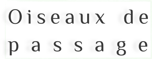Oiseaux de passage